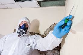 Asbestos Testing: Empowering Individuals and Communities through Knowledge post thumbnail image